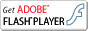 }NfBAFLASH PLAYER_E[hł܂